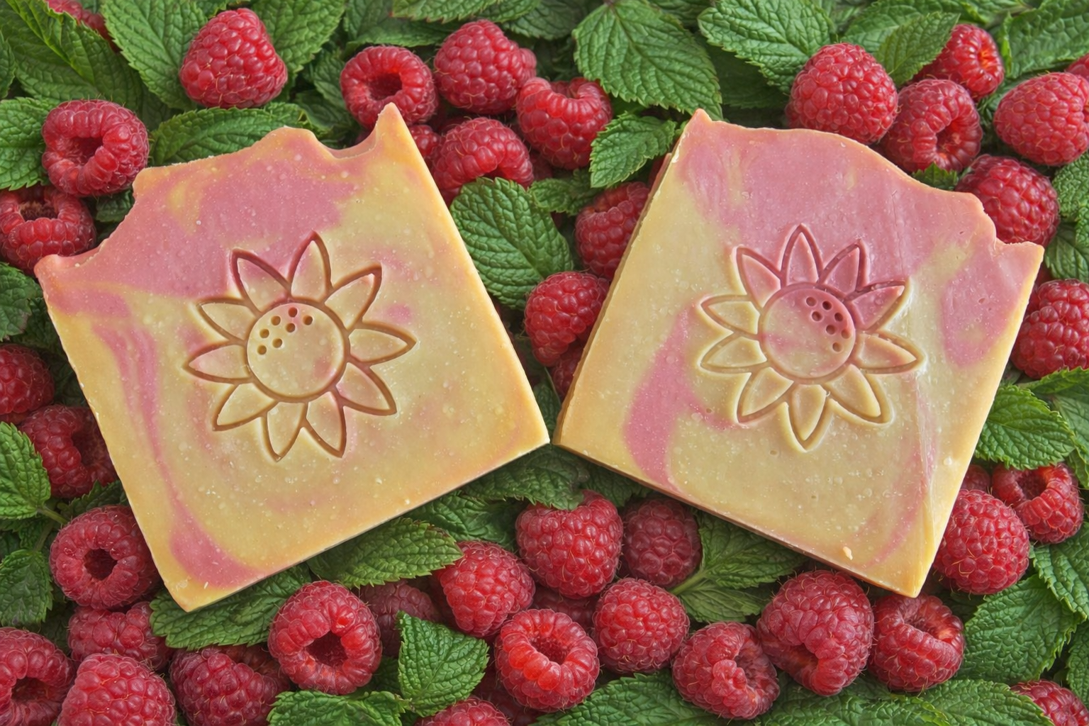 Raspberry Mint! Colloidal Oatmeal. Coconut Free! Tallow Soap. 🌻